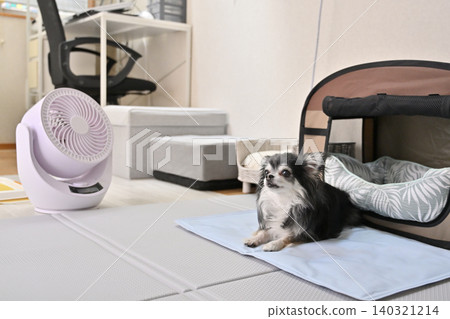 Summer heat relief for your dog: Circulator, cooling mat, cooling bed Summer heat relief for your dog: Circulator, cooling mat, cooling bed 140321214