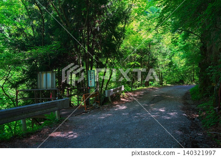 Iwatate Gorge, covered in fresh greenery; the forest road to Neo Falls and the entrance to the waterfall viewing trail. Iwatate Gorge, covered in fresh greenery; the forest road to Neo Falls and the entrance to the waterfall viewing trail. 140321997