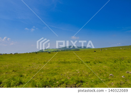 [Nagano Prefecture] Summer at Utsukushigahara Plateau ~ Utsukushigahara Ranch 140322089