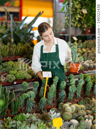 In store, positive gardening female worker inspects young cactus plants after treatment In store, positive gardening female worker inspects young cactus plants after treatment 140322436
