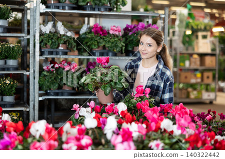 Girl works as auxiliary worker in plant store warehouse, review cyclamen 140322442