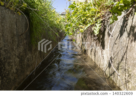 Details of agricultural concrete waterways and irrigation channels overgrown with vegetation. Details of agricultural concrete waterways and irrigation channels overgrown with vegetation. 140322609