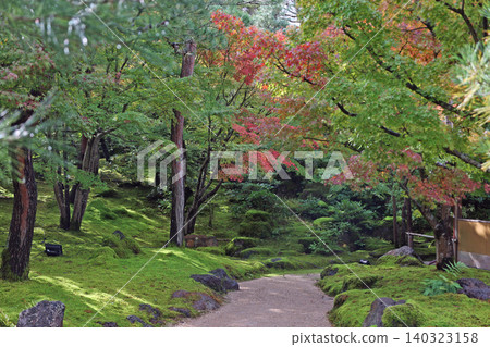 Autumn leaves of Yushien Autumn leaves of Yushien 140323158