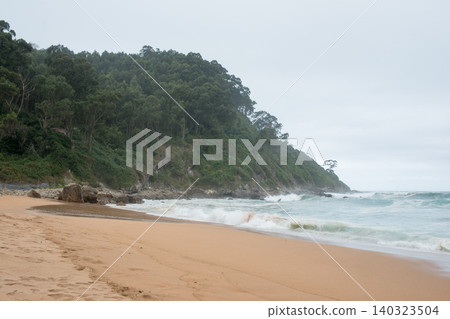 Beautiful Meron beach, protected area for birds preservation. Asturias 140323504