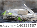 Close up photo of a small green plant with bright leaves growing on weathered concrete or stone 140323567