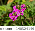 Clinic 140324149