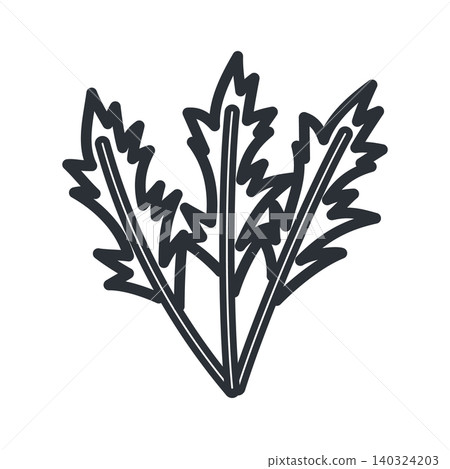 Mizuna line drawing illustration: Simple hand-drawn style leafy vegetable material. Mizuna line drawing illustration: Simple hand-drawn style leafy vegetable material. 140324203