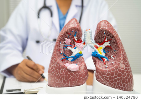 Pneumonia, lung cancer, Asian doctor with human lung model. 140324780