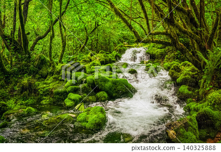 Moss blankets rocks beside a rushing stream. Georgia. Moss blankets rocks beside a rushing stream. Georgia. 140325888