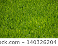 The grass of the racecourse 140326204
