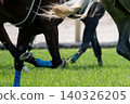 Racehorse running 140326205