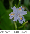 Flowers of Shaga 140326210