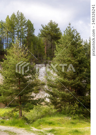 Scenic pine forest with lush green trees growing on a rocky mountain slope Scenic pine forest with lush green trees growing on a rocky mountain slope 140326241