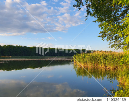 Picturesque summer landscape: mirror lake with reeds, reflection of clouds in the water, green forest on the horizon Picturesque summer landscape: mirror lake with reeds, reflection of clouds in the water, green forest on the horizon 140326489