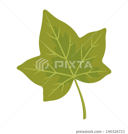 Ivy Leaf Illustration Vector Template Ivy Leaf Illustration Vector Template 140326721