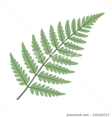 Fern Leaf Illustration Vector Template Fern Leaf Illustration Vector Template 140326727