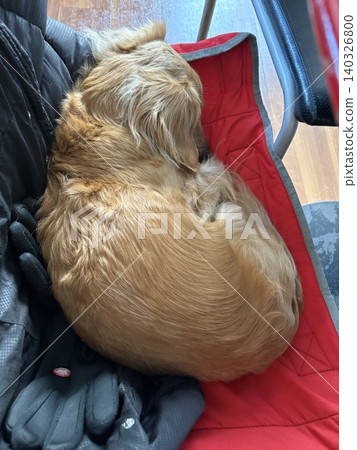 狗小睡一會兒 狗小睡一會兒 140326800