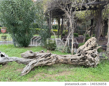 Fallen tree trunk in a park with lush greenery and surrounding garden structures Fallen tree trunk in a park with lush greenery and surrounding garden structures 140326858