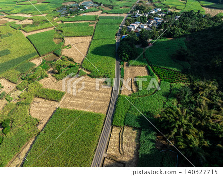 Aerial View of Lush Green Fields and Rural Road in Guangxi, China Aerial View of Lush Green Fields and Rural Road in Guangxi, China 140327715