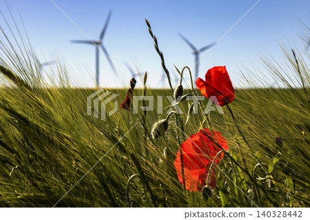 Poppies in a field Poppies in a field 140328442