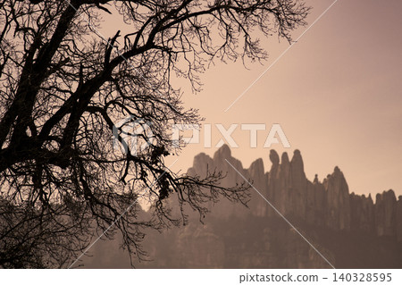 Bare tree branches silhouetted against montserrat mountains sunset Bare tree branches silhouetted against montserrat mountains sunset 140328595