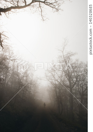 Walking in a dark forest Walking in a dark forest 140328685