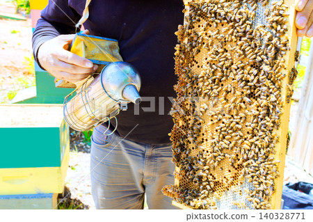Beekeeper holds frame filled with bees honeycomb, using smoker to calm bees in summer honey harvest Beekeeper holds frame filled with bees honeycomb, using smoker to calm bees in summer honey harvest 140328771