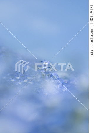 一張易於在垂直螢幕模式下使用的粉蝶背景圖片。 一張易於在垂直螢幕模式下使用的粉蝶背景圖片。 140329171