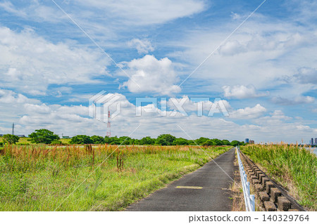 Yodogawa River Park Exit Wildflower Area, Hirakata City, Osaka Prefecture 140329764