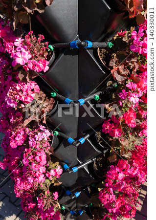 Close-up of a vertical garden tower with bright pink geranium flowers 140330011
