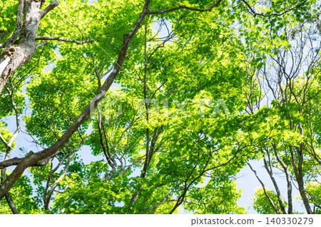 Brilliant fresh green Brilliant fresh green 140330279
