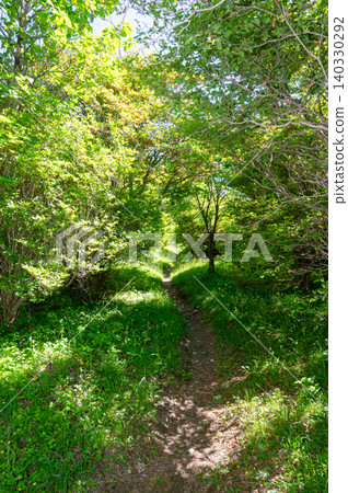Walking in the fresh green Walking in the fresh green 140330292