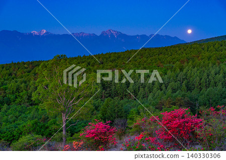 [Yamanashi Prefecture] Beautiful forest of Kiyosato with azaleas in bloom, distant view of the Southern Alps, setting moon 140330306