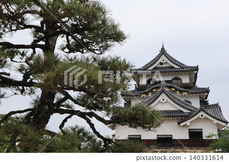彥根城景色,琵琶湖八景之一,正在申請世界遺產地位。 彥根城景色,琵琶湖八景之一,正在申請世界遺產地位。 140331614