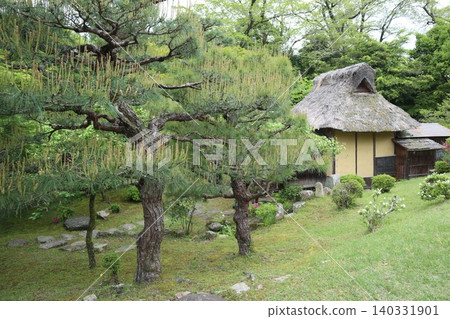 The scenery of Genkyu Rakurakuen Garden at Hikone Castle, one of the Eight Views of Lake Biwa, which is aiming for World Heritage status. 140331901