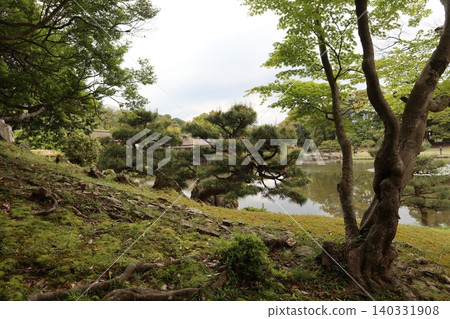 The scenery of Genkyu Rakurakuen Garden at Hikone Castle, one of the Eight Views of Lake Biwa, which is aiming for World Heritage status. The scenery of Genkyu Rakurakuen Garden at Hikone Castle, one of the Eight Views of Lake Biwa, which is aiming for World Heritage status. 140331908