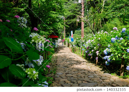 A stone-paved staircase lined with hydrangeas A stone-paved staircase lined with hydrangeas 140332335