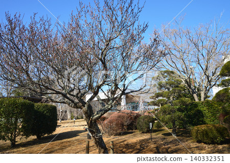 Ibaraki Prefectural Botanical Garden Reopens #25 Ibaraki Prefectural Botanical Garden Reopens #25 140332351