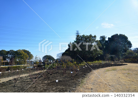 茨城縣立植物園重新開放 #28 茨城縣立植物園重新開放 #28 140332354