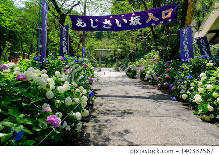 Hydrangea entrance Hydrangea entrance 140332562