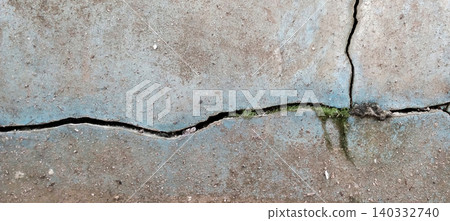 Concrete surface with longitudinal cracks and a little moss growing in the cracks. 140332740