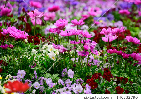 Colorful spring flowers Colorful spring flowers 140332790