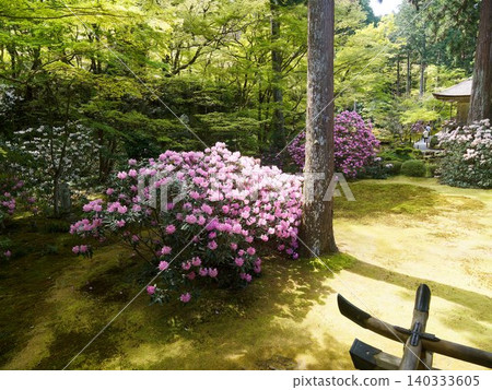 A moss-covered Japanese garden adorned with fresh greenery and flowers. A moss-covered Japanese garden adorned with fresh greenery and flowers. 140333605