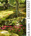 A tranquil pond with camellia flowers floating on it. 140333607