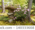 A stone lantern standing in a moss-covered garden 140333608