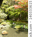 A tranquil garden pond where the fresh greenery and autumn leaves are beautifully reflected. 140333615