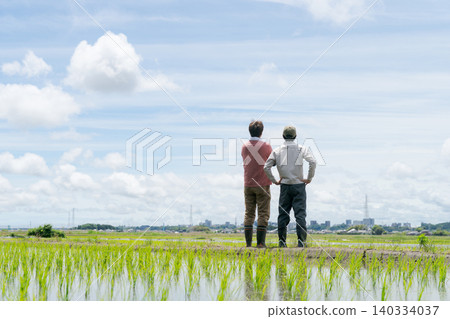 The backs of farm men standing in the rice fields The backs of farm men standing in the rice fields 140334037
