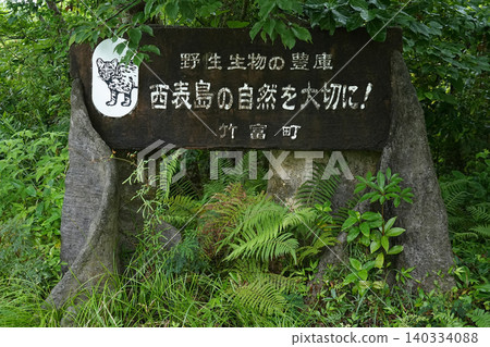 Okinawa Prefecture, Iriomote Island, Sonai Hometown Forest Okinawa Prefecture, Iriomote Island, Sonai Hometown Forest 140334088