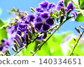 花壇樹上的花：春至秋季樹上的花：朱蘭圖上的花：花園樹木 140334651