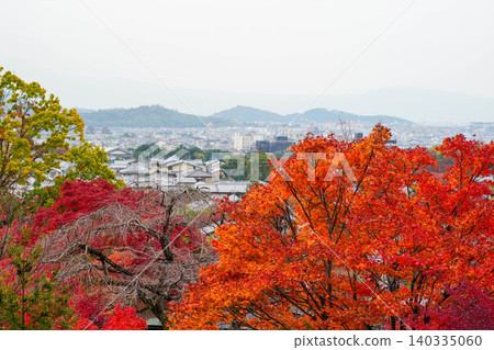 Autumn leaves of maple trees at a temple in Sagano, Kyoto. 140335060